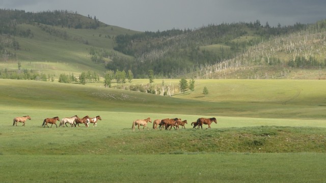 Soirée Mongolie