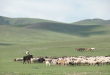 Mongolie, vers l'infini et au-delà