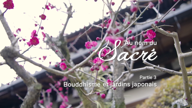 Série au nom de la Nature : Episode 2 : Au nom du sacré : Partie 3 : Bouddhisme et jardins japonais