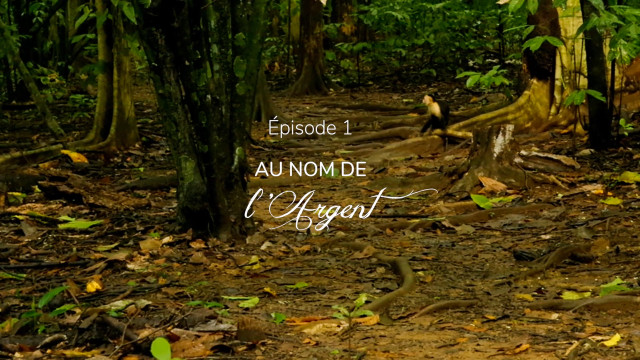 Série Au nom de la nature : Episode 1 : Au nom de l'argent