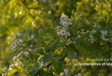 Série Au nom de la Nature : Episode 2 : Au nom du Sacré : Partie 2 : Christianismes et Islam