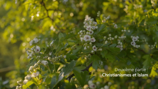 Série Au nom de la Nature : Episode 2 : Au nom du Sacré : Partie 2 : Christianismes et Islam