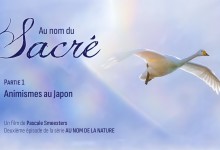 Série Au nom de la Nature : Episode 2 : Au nom du Sacré : Partie 1 : Animismes au Japon