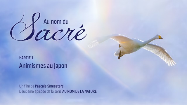 Série Au nom de la Nature : Episode 2 : Au nom du Sacré : Partie 1 : Animismes au Japon