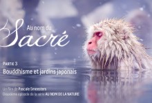 Série au nom de la Nature : Episode 2 : Au nom du sacré : Partie 3 : Bouddhisme et jardins japonais