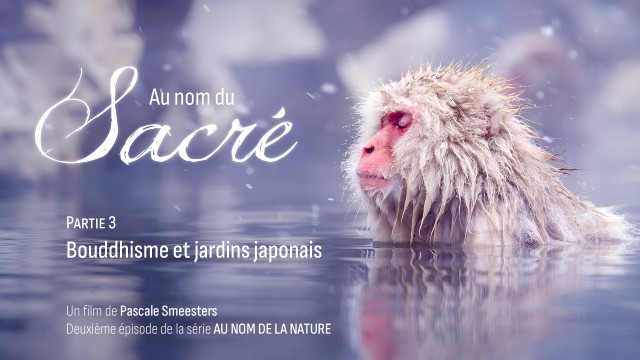 Série au nom de la Nature : Episode 2 : Au nom du sacré : Partie 3 : Bouddhisme et jardins japonais
